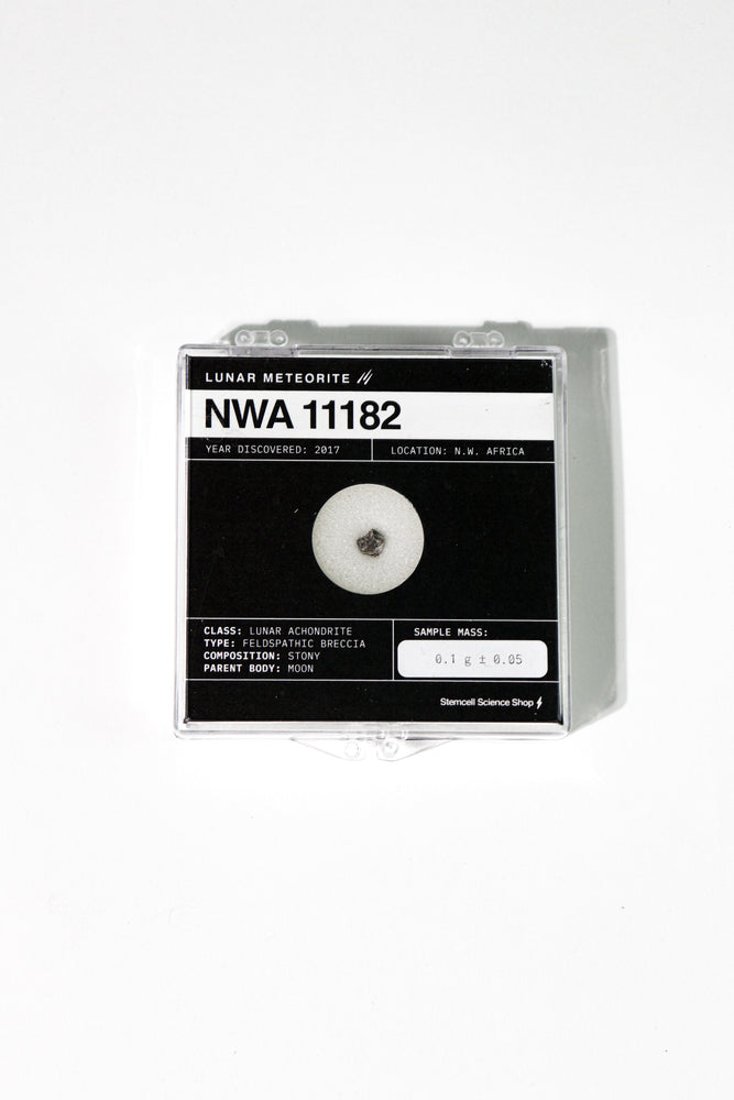 Lunar Meteorite NWA 11182 (ONLINE ORDER ONLY)