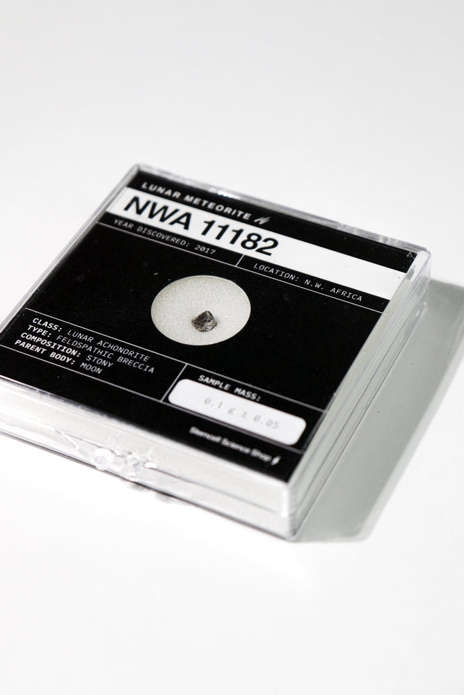 Lunar Meteorite NWA 11182 (ONLINE ORDER ONLY)