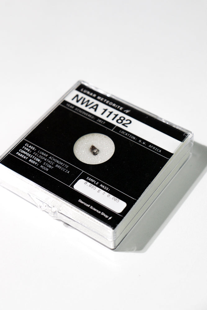 Lunar Meteorite NWA 11182 (ONLINE ORDER ONLY)