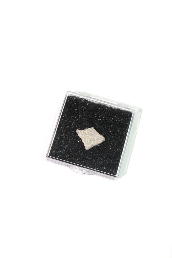 Saltasaurus Eggshell Fossil (ONLINE ORDER ONLY)
