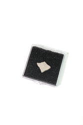 Saltasaurus Eggshell Fossil (ONLINE ORDER ONLY)