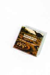 Saltasaurus Eggshell Fossil (ONLINE ORDER ONLY)