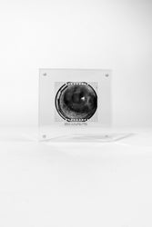 Fermilab Bubble Chamber Particle Collision Photo (ONLINE ORDER ONLY)