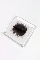 Fermilab Bubble Chamber Particle Collision Photo (ONLINE ORDER ONLY)