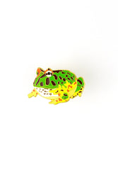 Surinam Horned Frog Enamel Pin (Ceratophrys cornuta) (ONLINE ORDER ONLY)