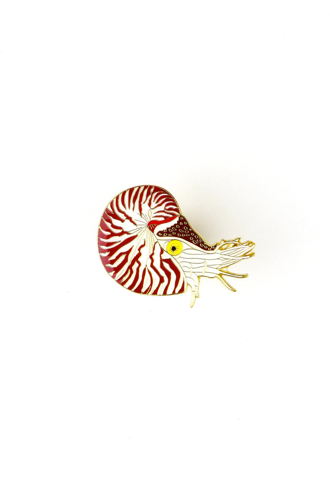 Chambered Nautilus Enamel Pin (Nautilus pompilius) (ONLINE ORDER ONLY)