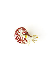 Chambered Nautilus Enamel Pin (Nautilus pompilius) (ONLINE ORDER ONLY)