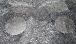 Acrylic Objective Zone Markers - For Use in Conquest (Not Official) (ONLINE ORDER ONLY)