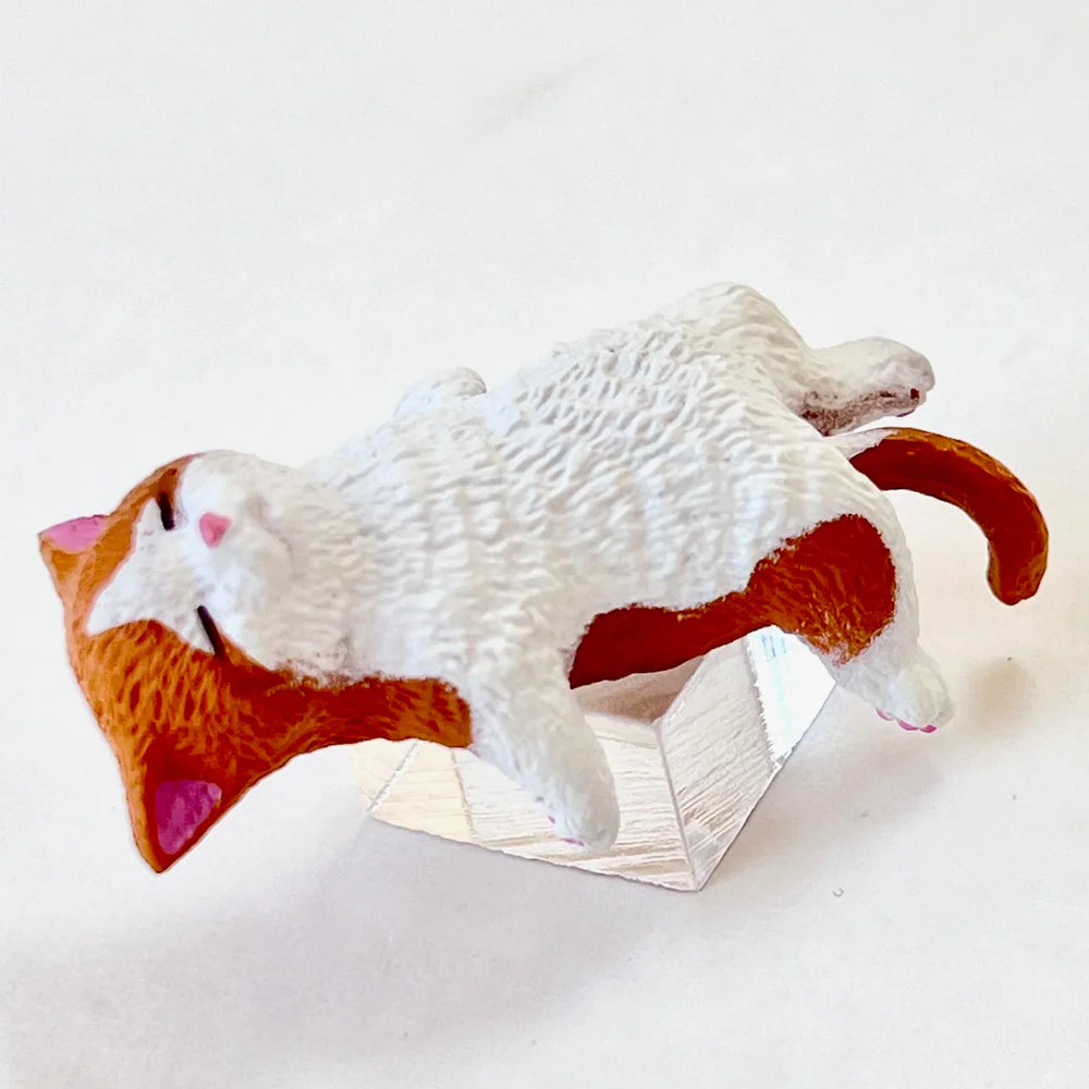 Resting Cats Blind Box (1 Blind Box) (ONLINE ORDER ONLY)