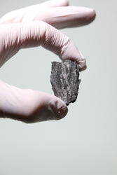 Black Kyanite Fan (ONLINE ORDER ONLY)