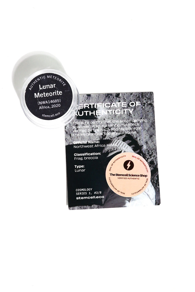 Meteorite Blind Bag: Cosmology Series 1 (Limited Run) (ONLINE ORDER ONLY)