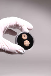 Stone Age Beads from the Sahara Desert (ONLINE ORDER ONLY)