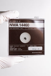 NWA 14460 Meteorite (ONLINE ORDER ONLY)