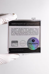 NWA 14460 Meteorite (ONLINE ORDER ONLY)