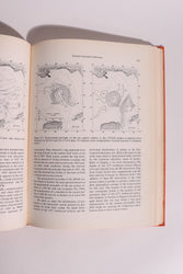 Contributions on the Physical Oceanography of the Gulf of Mexico – Texas A&M – 1972
