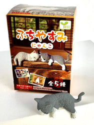 Resting Cats - Blind Box (1 Blind Box) (ONLINE ORDER ONLY)