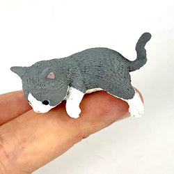 Resting Cats - Blind Box (1 Blind Box) (ONLINE ORDER ONLY)