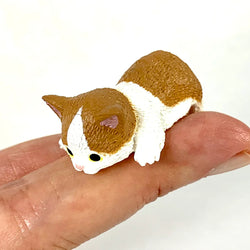 Resting Cats - Blind Box (1 Blind Box) (ONLINE ORDER ONLY)