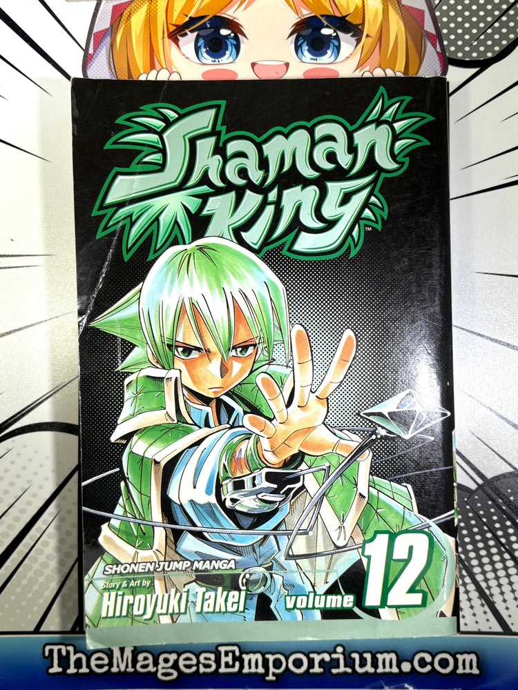 Shaman King Vol 12 (Online Order Only)