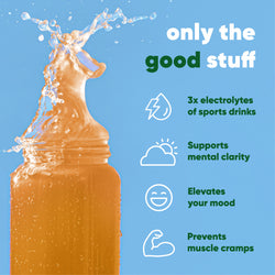 Iced Tea + Lemonade (20 Sticks) (Online Order Only)