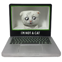 "I'm Not A Cat" Meme Bobbleheads (ONLINE ORDER ONLY)