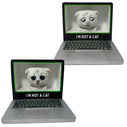 "I'm Not A Cat" Meme Bobbleheads (ONLINE ORDER ONLY)