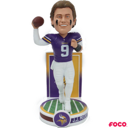 Banner Series Bobbleheads (ONLINE ORDER ONLY)