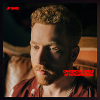 DANGEROUS LEVELS OF INTROSPECTION [Vinyl] (ONLINE ORDER ONLY)