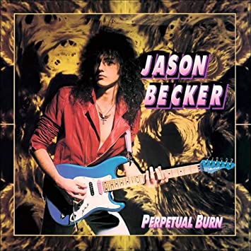 Perpetual Burn (Black Vinyl) [Vinyl] (ONLINE ORDER ONLY)