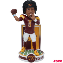 Banner Series Bobbleheads (ONLINE ORDER ONLY)