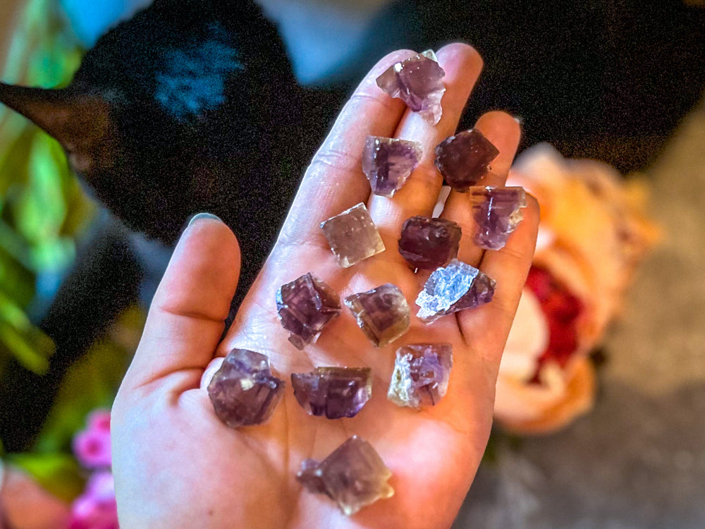 ANHUI Yellow Fluorite with Thousand Layer Purple Phantoms, RARE Minerals (ONLINE ORDER ONLY)