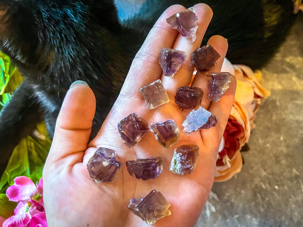 ANHUI Yellow Fluorite with Thousand Layer Purple Phantoms, RARE Minerals (ONLINE ORDER ONLY)