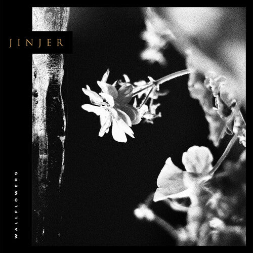 Wallflowers (CD) [CD] (ONLINE ORDER ONLY)