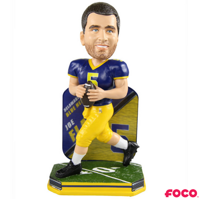 NCAA College Football Super Star Bobbleheads (ONLINE ORDER ONLY)