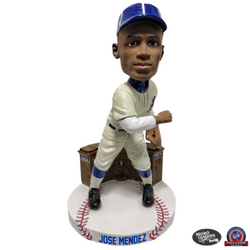 Negro Leagues Centennial Team Bobblehead Series (ONLINE ORDER ONLY)