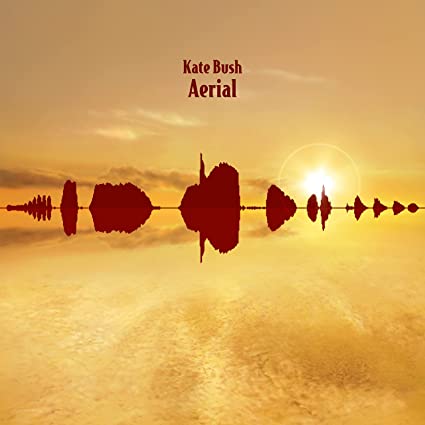 Aerial [Vinyl] (ONLINE ORDER ONLY)