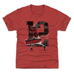 Lourdes Gurriel Jr. Arizona Rough WHT (ONLINE ORDER ONLY)