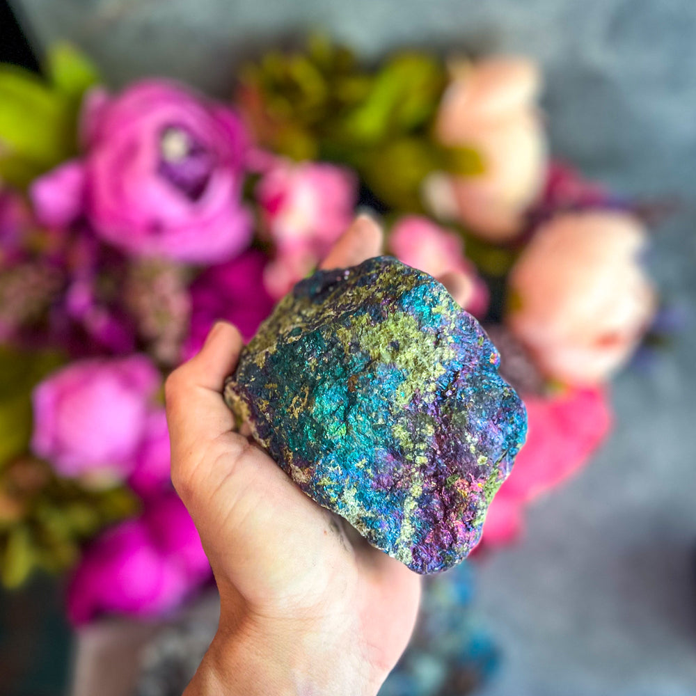 Huge Peacock Ore, Chalcopyrite (ONLINE ORDER ONLY)