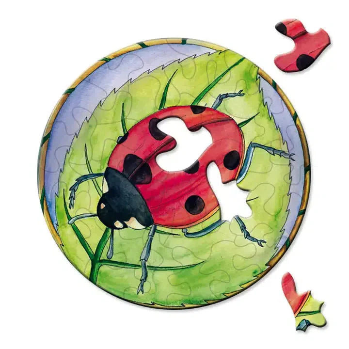 Ladybird 33 Piece Mini Matchbox Jigsaw Puzzle Curiosi (ONLINE ORDER ONLY)