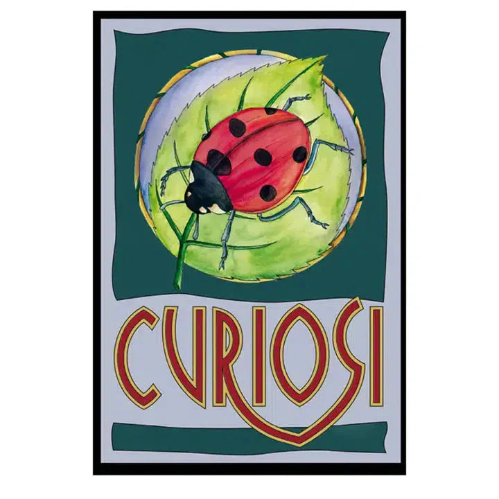 Ladybird 33 Piece Mini Matchbox Jigsaw Puzzle Curiosi (ONLINE ORDER ONLY)