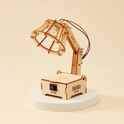 LED Lamp DIY Kit, Educational STEM Toy (ONLINE ORDER ONLY)