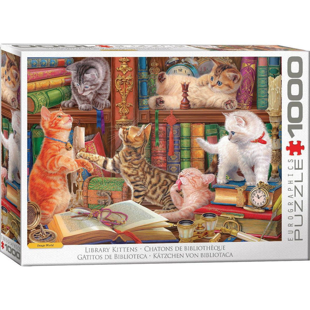 Library Kittens 1000 Piece Jigsaw Puzzle Eurographics (ONLINE ORDER ONLY)