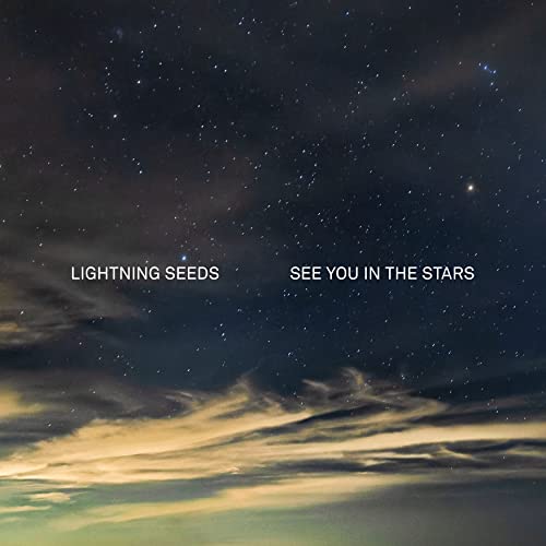 See You in the Stars [Vinyl] (ONLINE ORDER ONLY)
