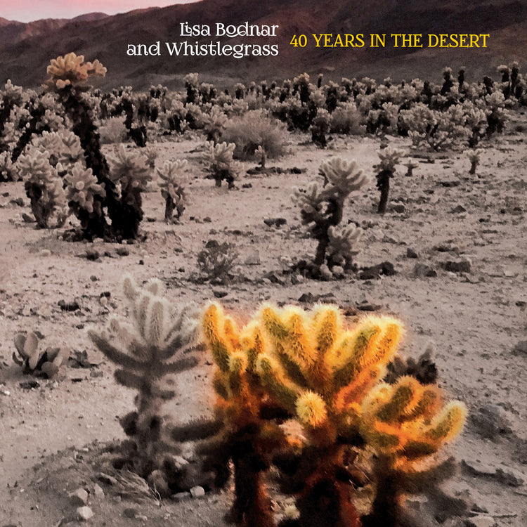 40 Years in the Desert [CD] (ONLINE ORDER ONLY)