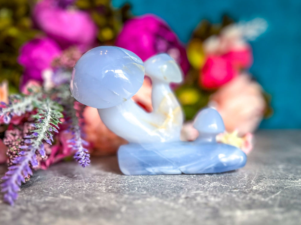 Beautiful 5" Blue Chalcedony MUSHROOM Sculpture (ONLINE ORDER ONLY)