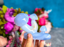 Beautiful 5" Blue Chalcedony MUSHROOM Sculpture (ONLINE ORDER ONLY)