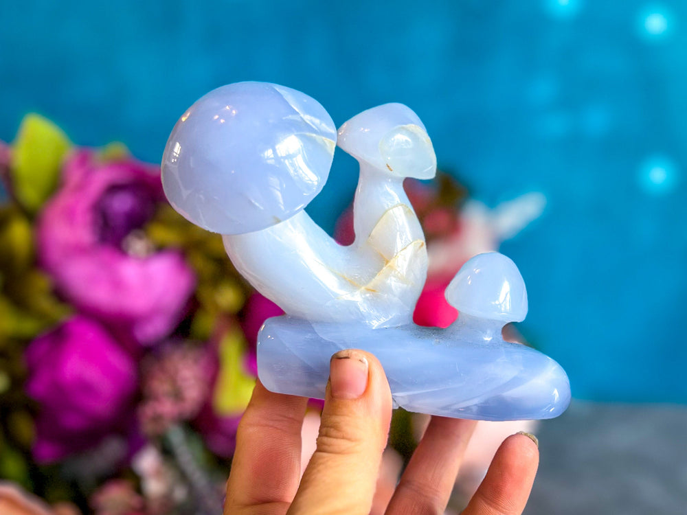 Beautiful 5" Blue Chalcedony MUSHROOM Sculpture (ONLINE ORDER ONLY)