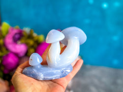 Beautiful 5" Blue Chalcedony MUSHROOM Sculpture (ONLINE ORDER ONLY)