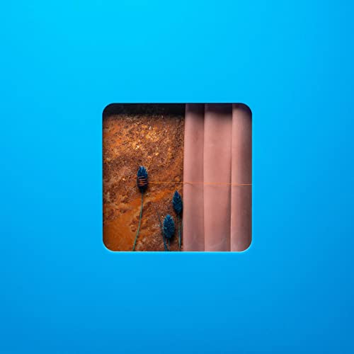 VICTIM OF A MODERN AGE [Vinyl] (ONLINE ORDER ONLY)