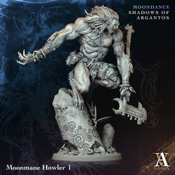 3D Printed Archvillain Games Moonmane Howler Moondance - Shadows of Argantos 28 32mm D&D (Online Only)